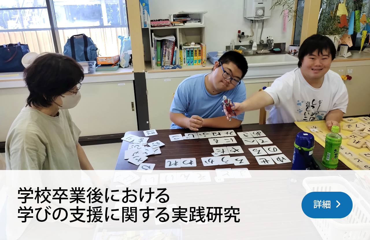 学校卒業後における学びの支援に関する実践研究